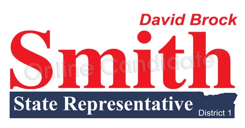 State Representative Campaign Logo DS.jpg