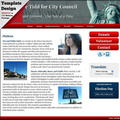 Amy Lee Tidd for City Council.jpg
