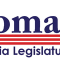 State Representative Campaign Logo 8741642914.jpg