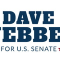 US Senate Campaign Logo DW.jpg