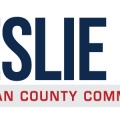 County Commissioner Campaign Logo LL .jpg