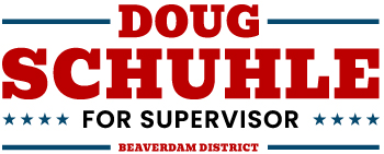 Supervisor Campaign Logo DS.jpg